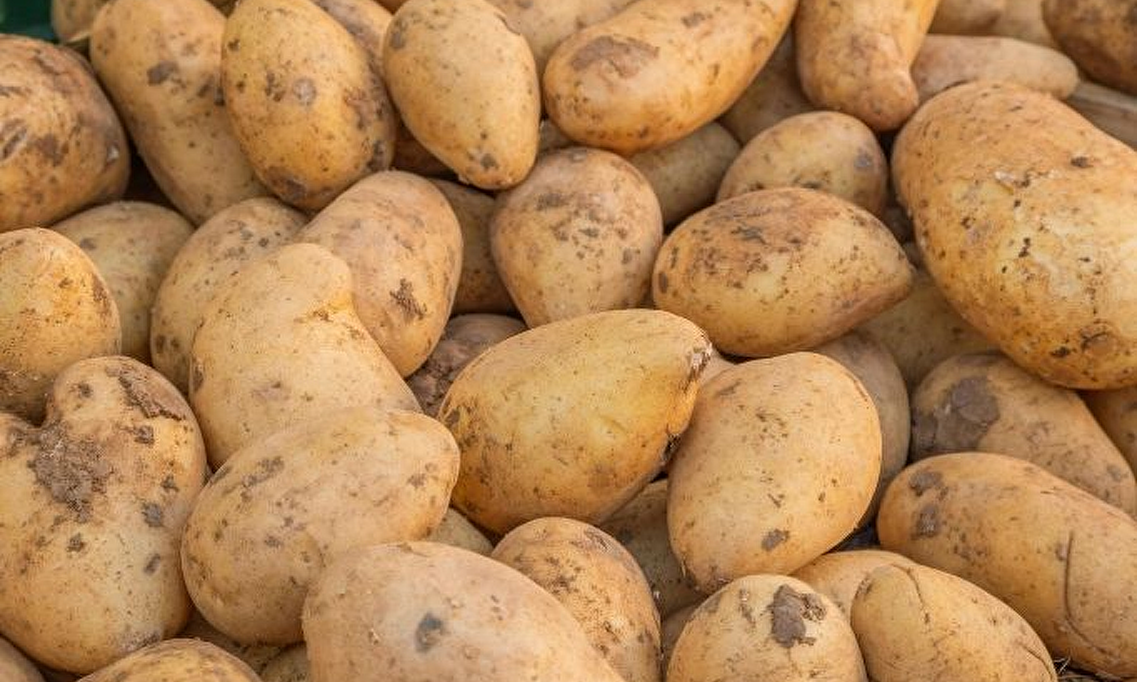 AGF | Aardappelen, Groente & Fruit